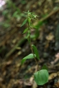 IMGP2775-1024.jpg