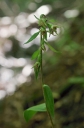 IMGP2777-1024.jpg