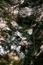 IMGP2785-1024.jpg