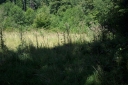 IMGP2787-1024.jpg