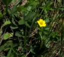 IMGP2799-1024.jpg