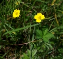 IMGP2800-1024.jpg
