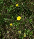 IMGP2807-1024.jpg