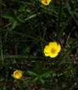 IMGP2808-1024.jpg