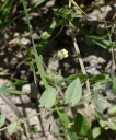 IMGP2816-1024.jpg