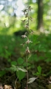 IMGP2822-1024.jpg