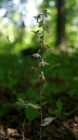 IMGP2823-1024.jpg