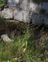 IMGP2833-1024.jpg