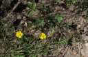 IMGP2838-1024.jpg