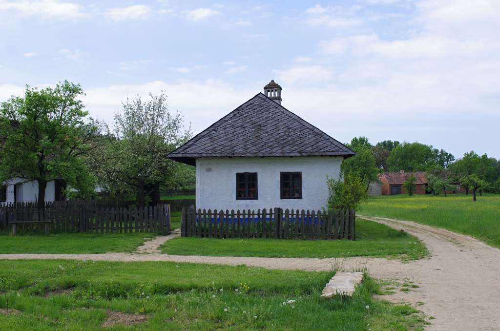 IMGP2110-1024~0.jpg
