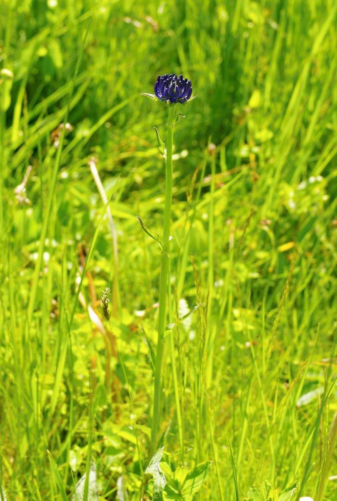 IMGP2198-1024~3.jpg