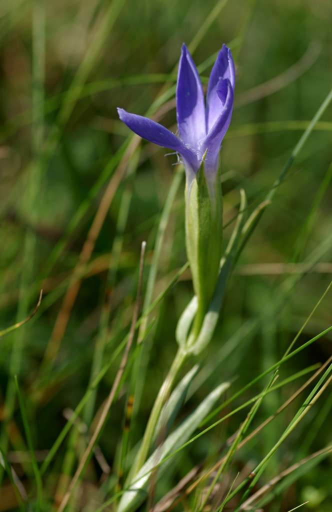IMGP3211-1024~3.jpg