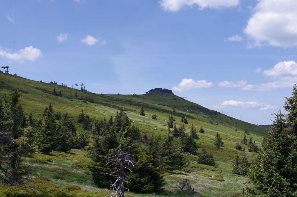 IMGP4395-1024.jpg