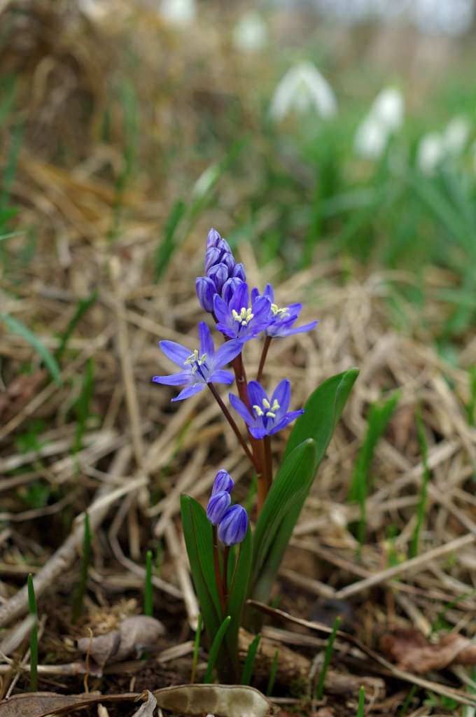IMGP5300-1024~3.jpg