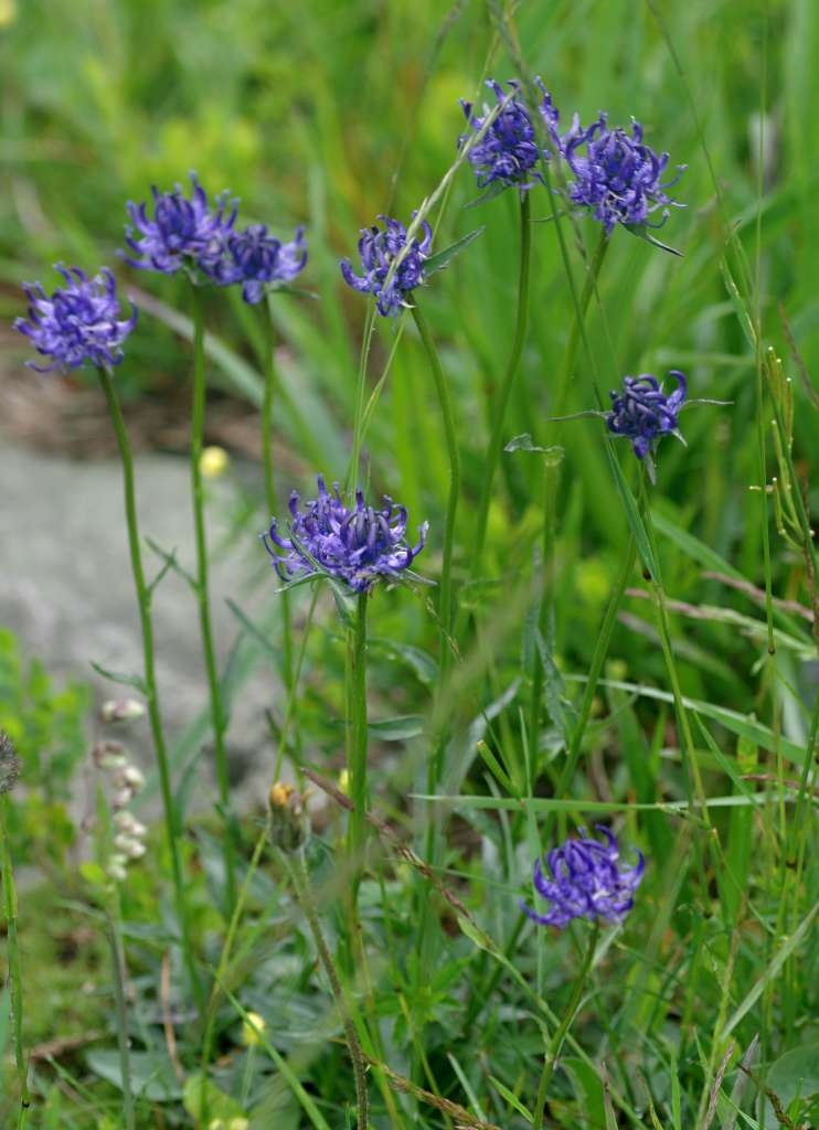 IMGP5772-1024~4.jpg