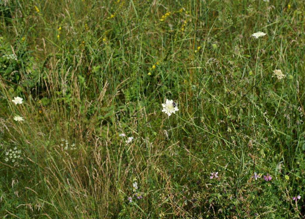 IMGP6542-1024~2.jpg