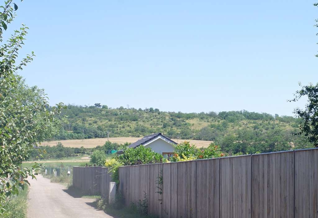 IMGP6603-1024~1.jpg