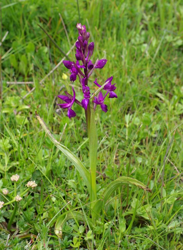 IMGP7818-1024~2.jpg