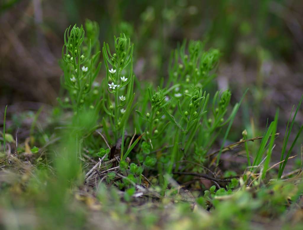 IMGP8412-1024~0.jpg