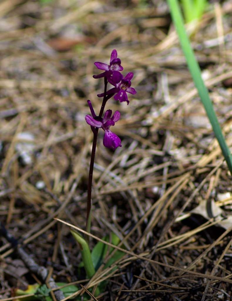IMGP9140-1024~1.jpg