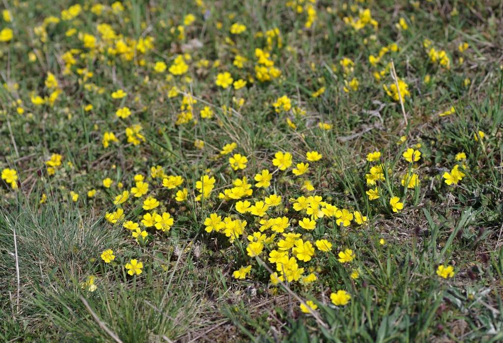 IMGP9660-1024~2.jpg