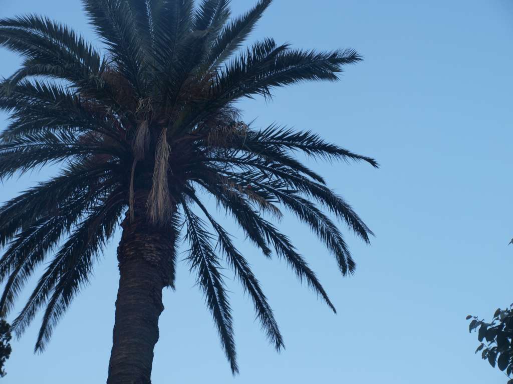 20100920_091129_Zbynek_P9206751-1024.jpg