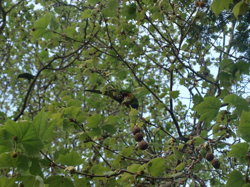 20100920_093110_Zbynek_P9206780-1024.jpg