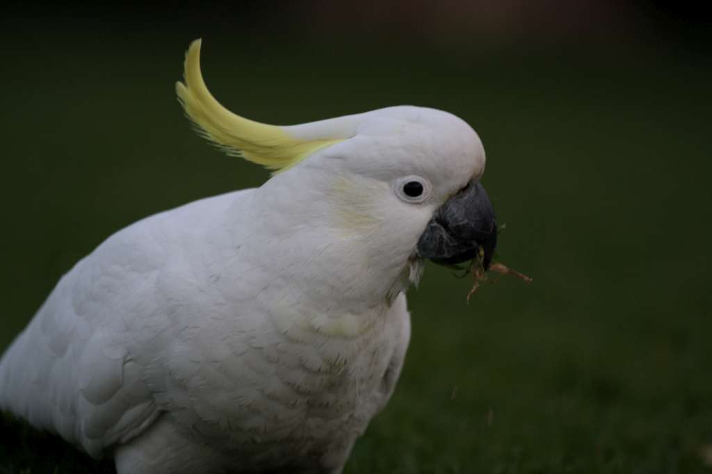 20100920_094520_Vlada_DPP_0237-1024.jpg