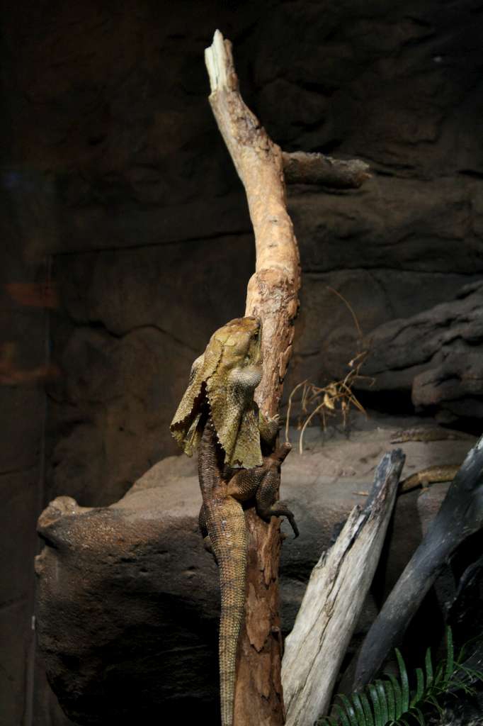 20100921_021831_Vlada_DPP_0286-1024.jpg