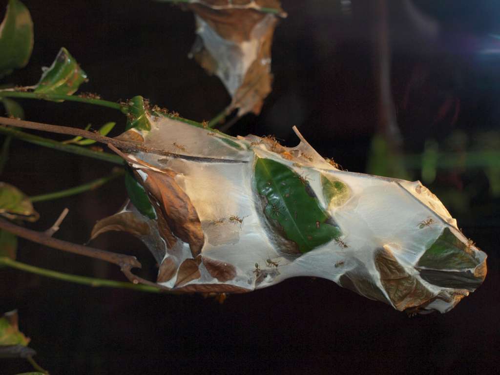 20100921_022207_Zbynek_P9216869-1024.jpg