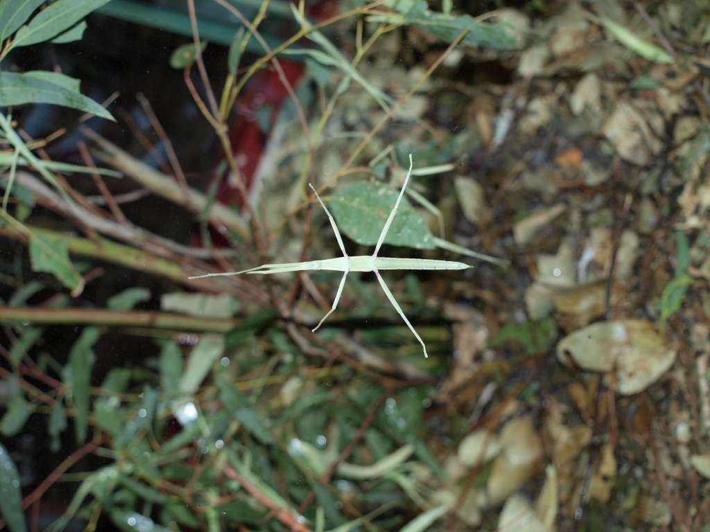 20100921_022259_Zbynek_P9216872-1024.jpg