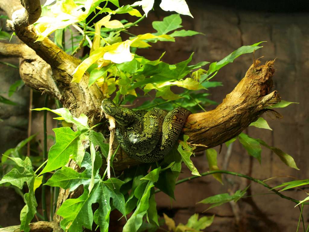 20100921_022521_Zbynek_P9216884-1024.jpg