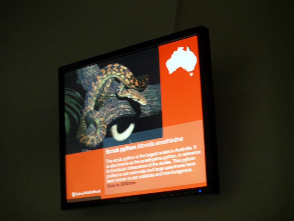 20100921_022605_Zbynek_P9216888-1024.jpg