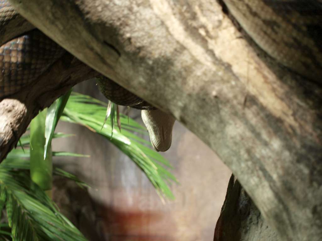 20100921_022649_Zbynek_P9216891-1024.jpg