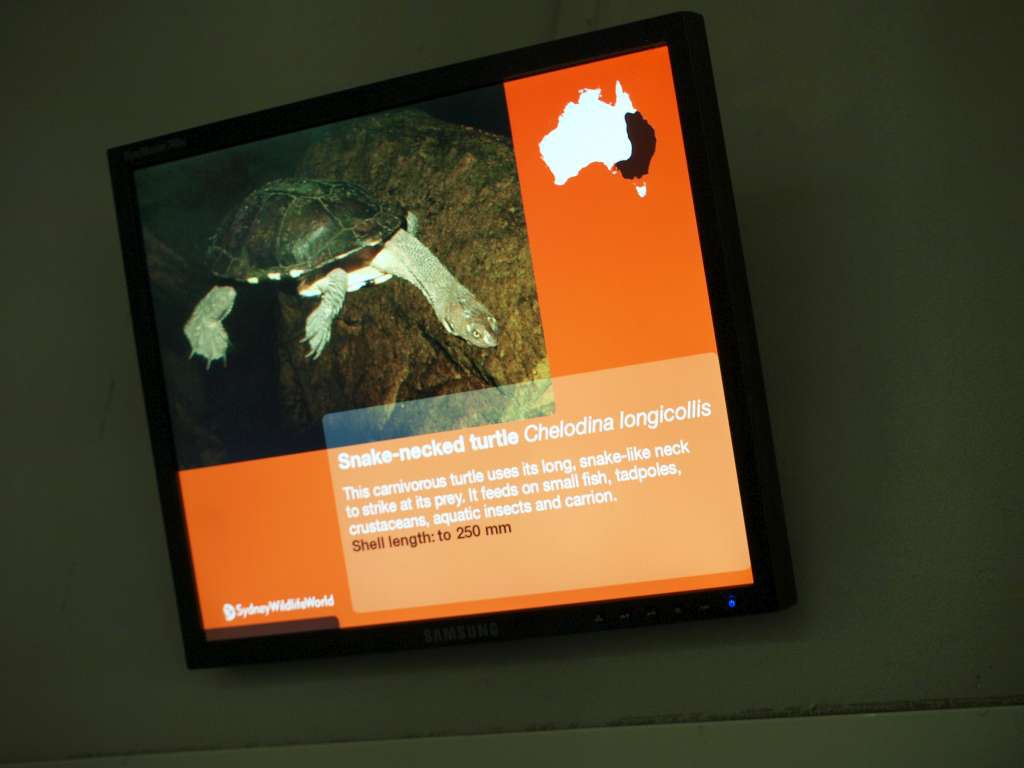 20100921_023037_Zbynek_P9216907-1024.jpg