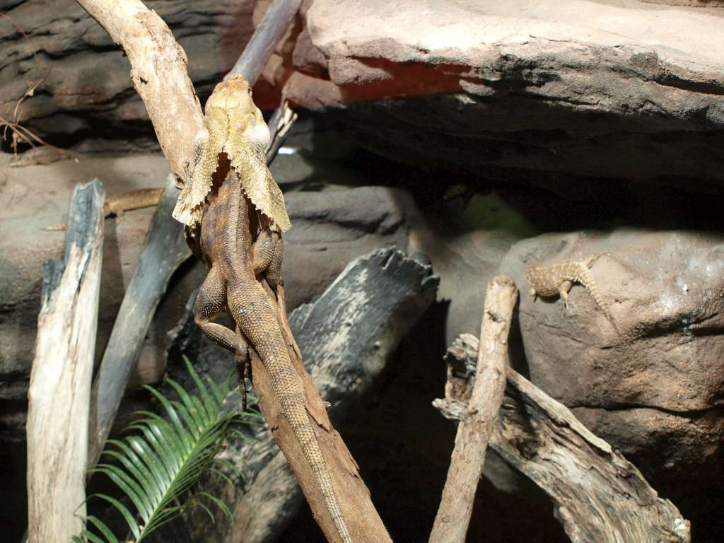 20100921_023310_Zbynek_P9216917-1024.jpg