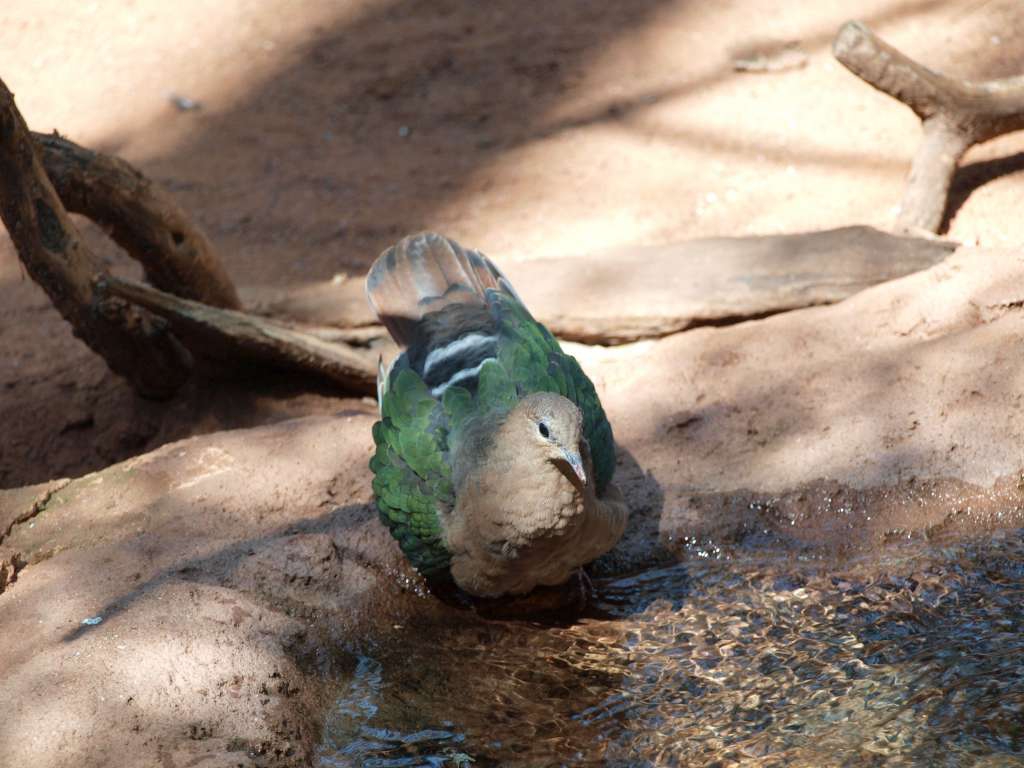 20100921_030242_Zbynek_P9216957-1024.jpg