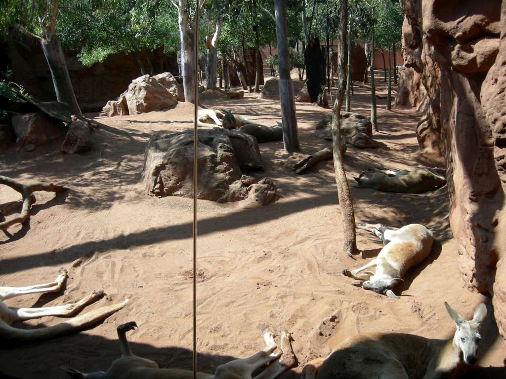 20100921_031845_Nikon_DSCN6883-1024.jpg