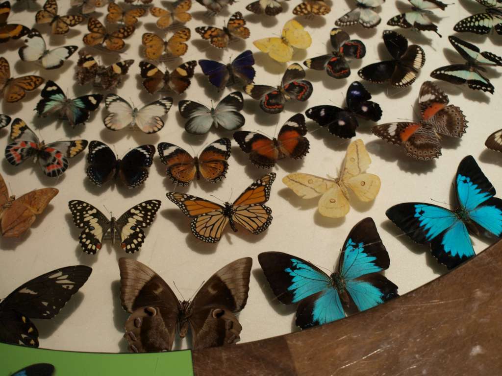 20100921_032100_Zbynek_P9216987-1024.jpg