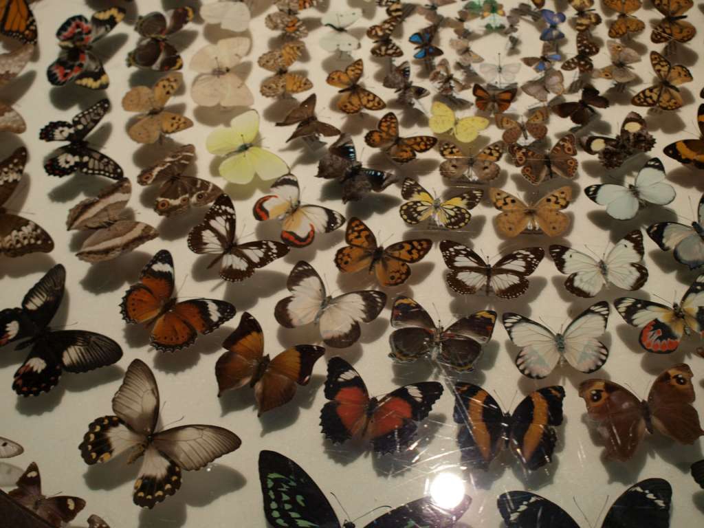 20100921_032123_Zbynek_P9216990-1024.jpg