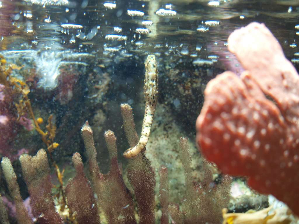 20100921_041936_Zbynek_P9217057-1024.jpg