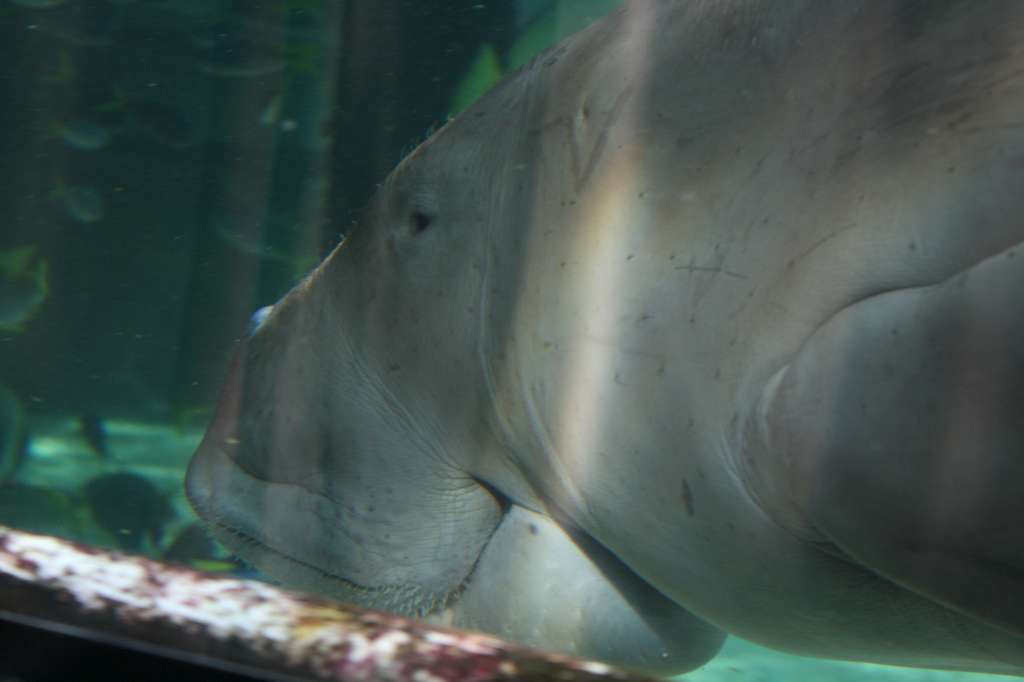 20100921_043245_Vlada_DPP_0387-1024.jpg