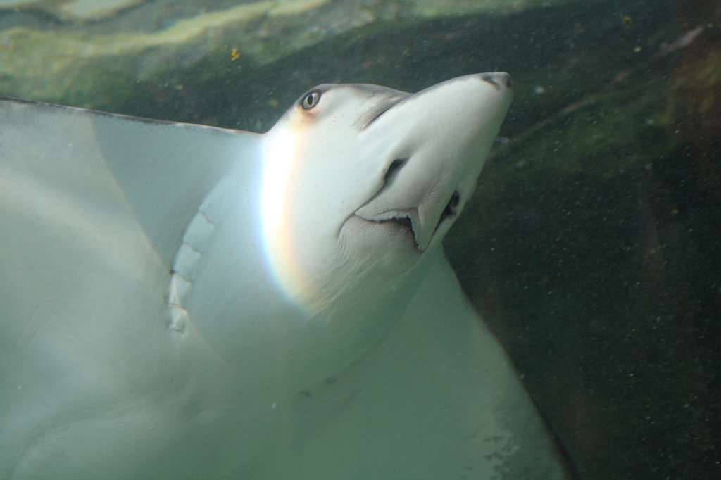 20100921_043320_Vlada_DPP_0391-1024.jpg