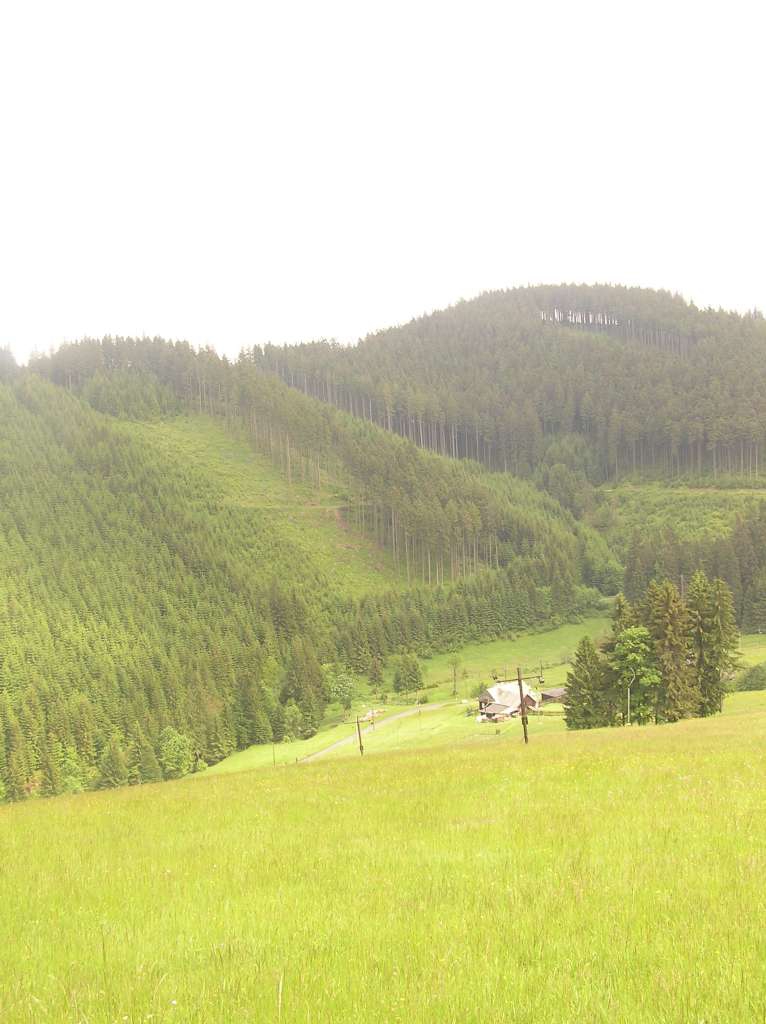 Zlatník
