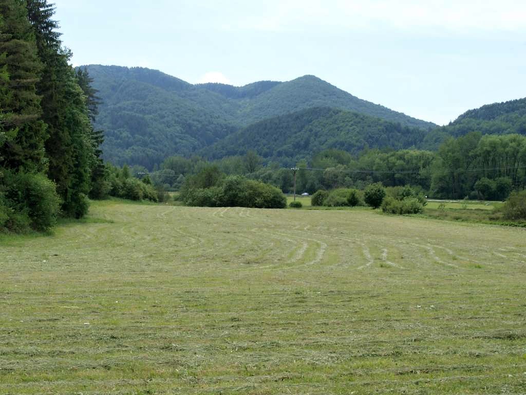 Šuja
