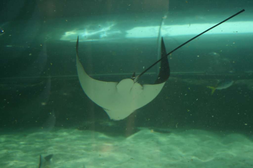 20100921_043658_Vlada_DPP_0403-1024.jpg