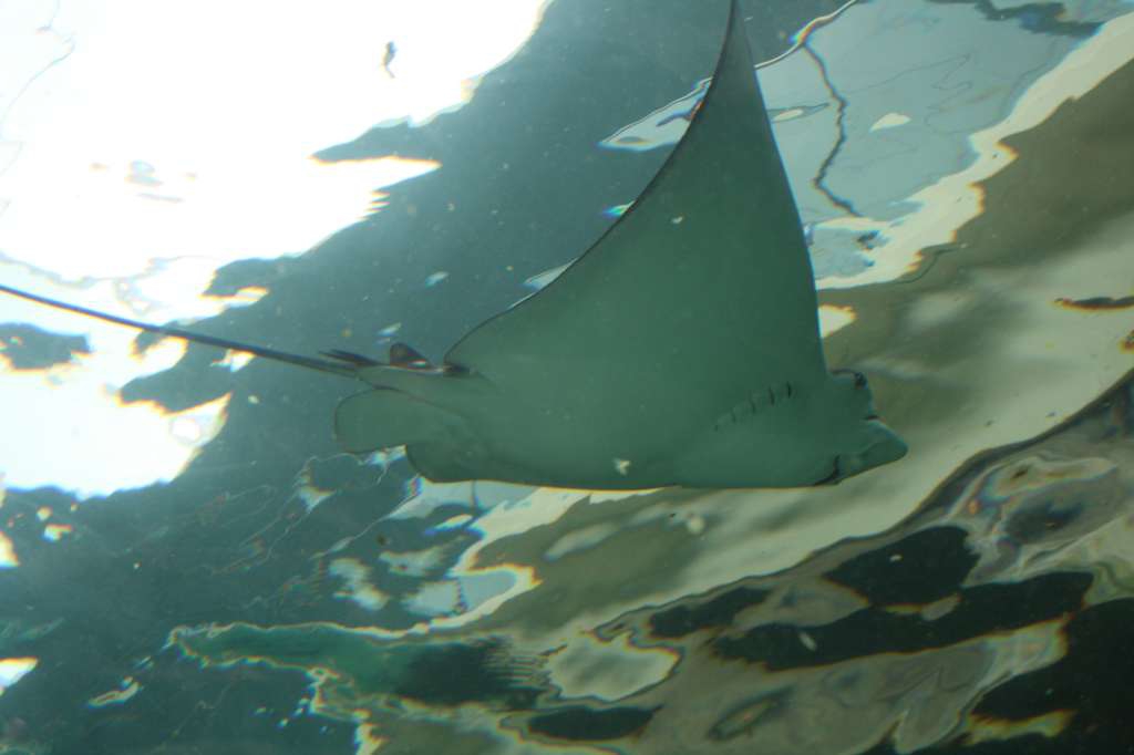 20100921_044034_Vlada_DPP_0411-1024.jpg