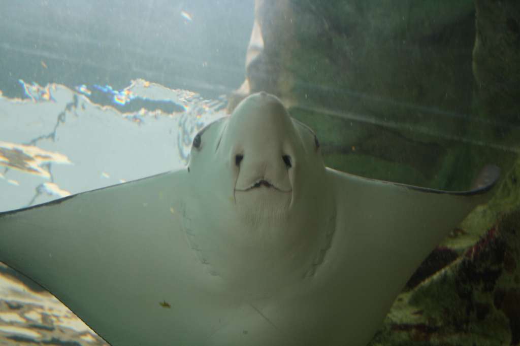 20100921_044614_Vlada_DPP_0433-1024.jpg