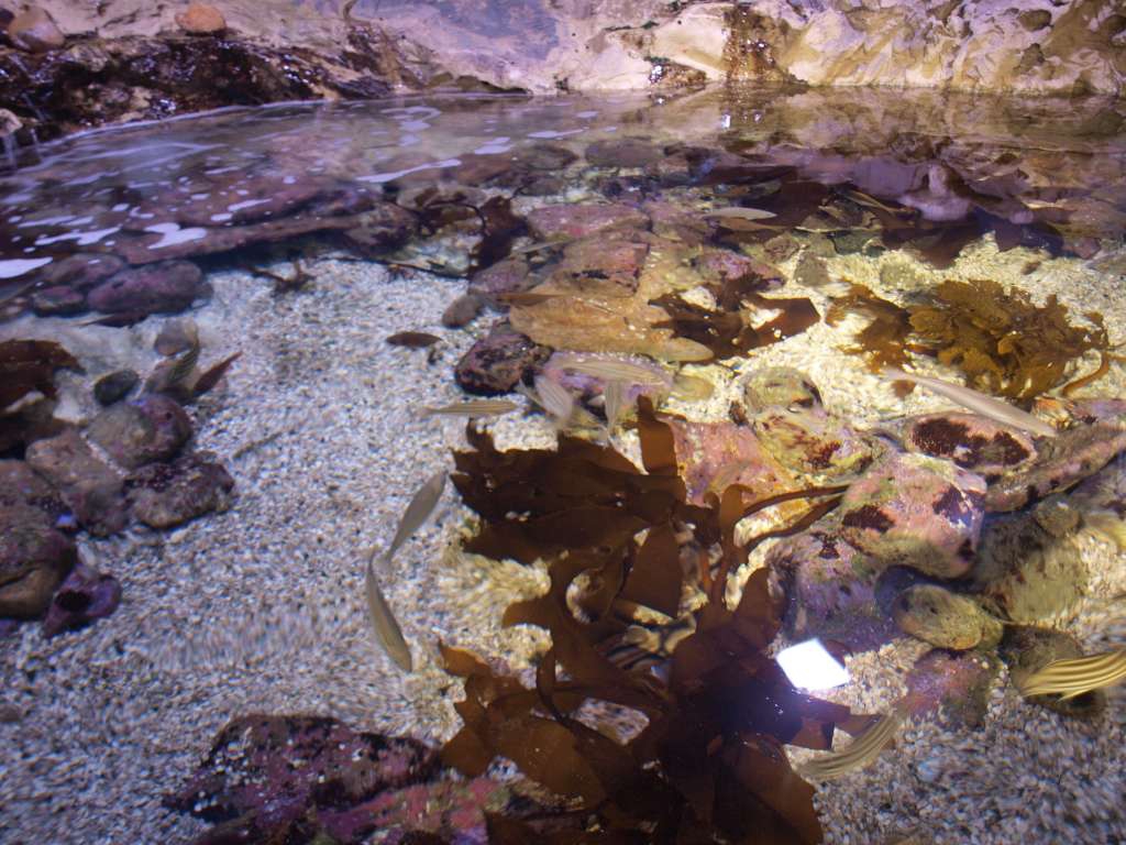 20100921_045839_Zbynek_P9217169-1024.jpg