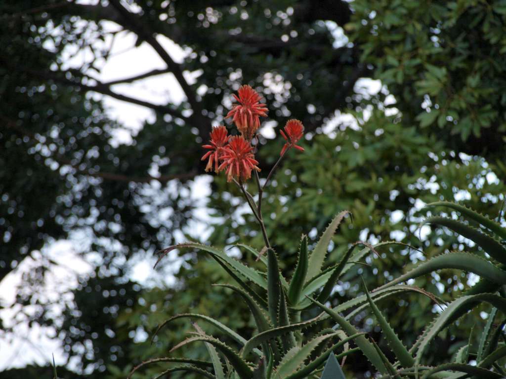 20100922_093750_Zbynek_P9227327-1024.jpg